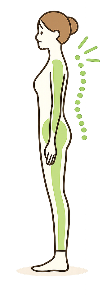 カイロプラクティックイラスト